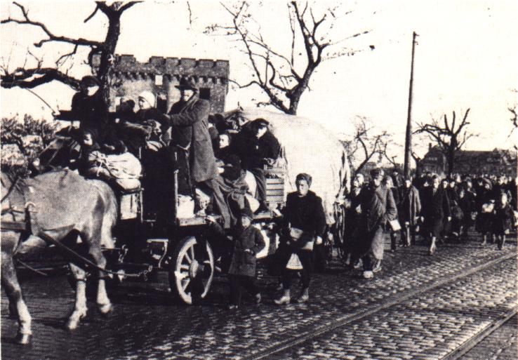 Another Echo of WW II