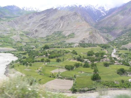 Interim Measure for 11 Afghans