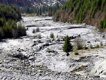 Environmental Pollution Judgment