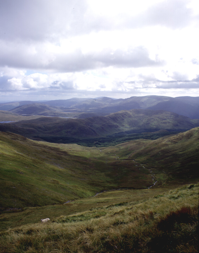 New Scottish ECHR Resource