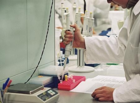 DNA Test to Establish Who the Father Is