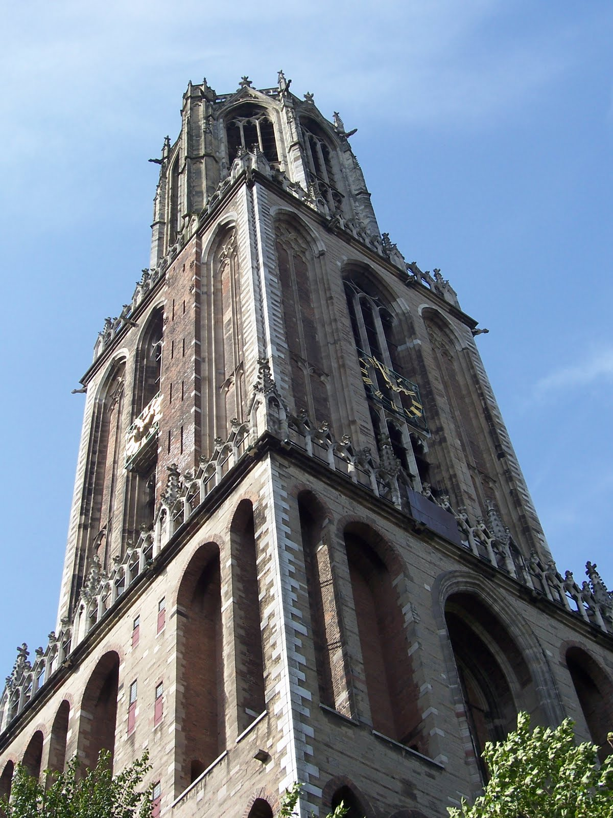 Article on FMG, the Netherlands and the ECHR