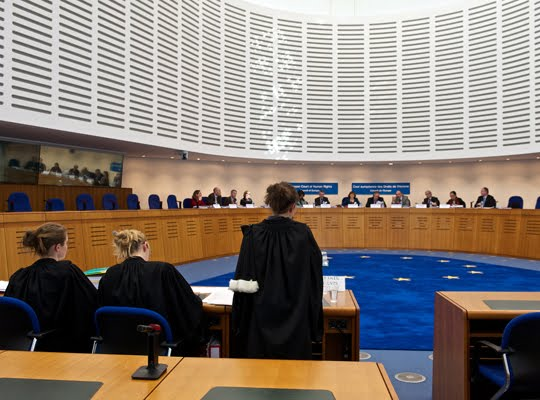 Case Law Made More Accessible