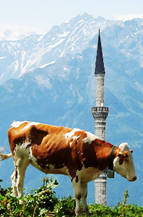 Swiss Minaret Decisions