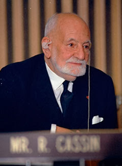 René Cassin Competition 2014