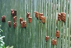 Hutchinson v UK: The right to hope (revisited)…