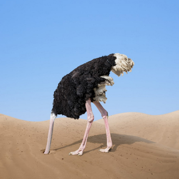 Blog Symposium on Protocol 15 ECHR – A Protocol for the Ostriches? Civil Society Perspectives
