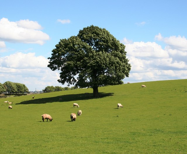 Summer Break ECHR Blog