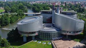 Academic Freedom in Turkey before the Strasbourg Court: A Third Party Intervention by a Coalition of Academic Interveners