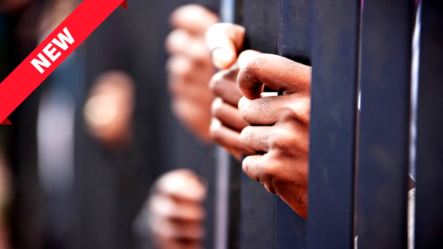 New Thematic Factsheet on Execution of ECHR Judgments Concerning Life Imprisonment