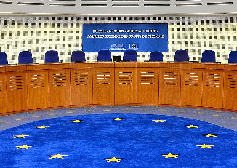Workshop: Exploring the Human of the European Court of Human Rights