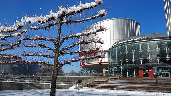 New ECHR Blog Year