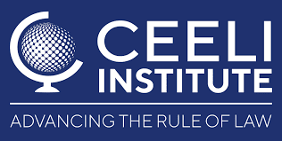 New European Rule of Law Litigation Guide