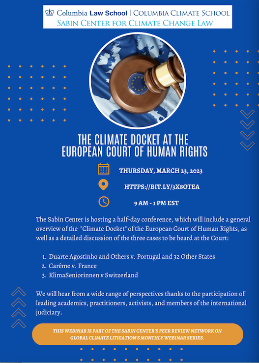 Webinar on Climate Change and the ECHR
